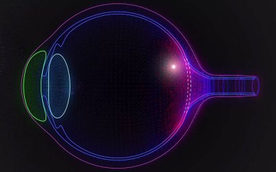 Advanced Robotics and Visualization for MicroSurgery