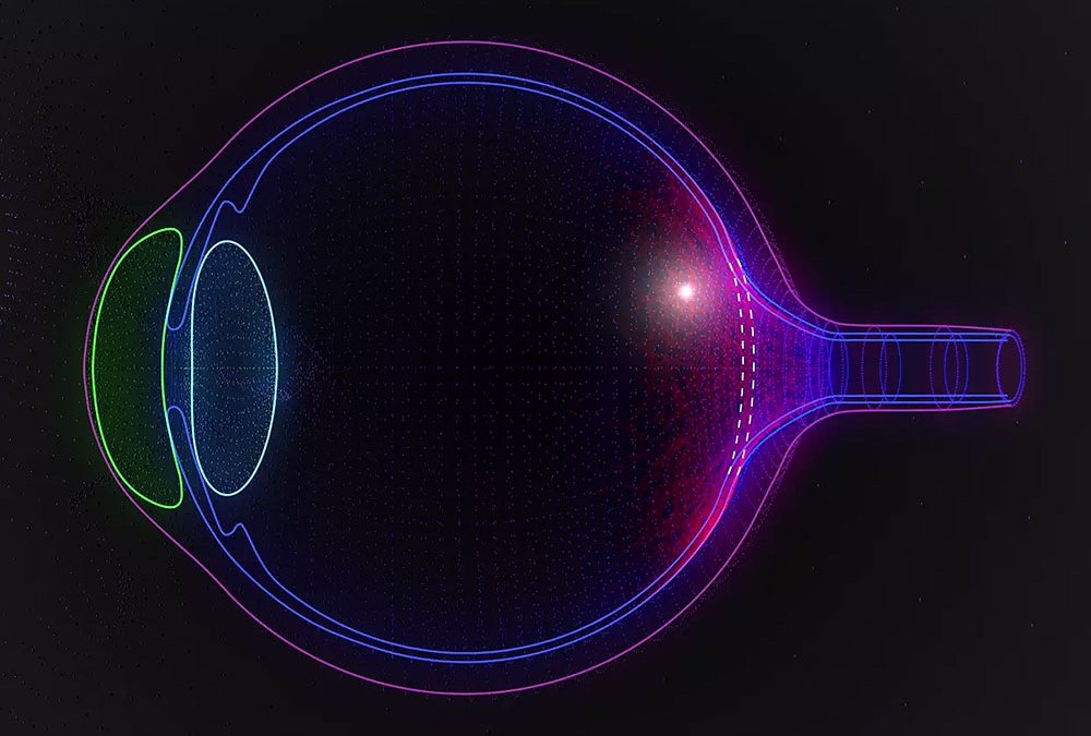 Advanced Robotics and Visualization for MicroSurgery