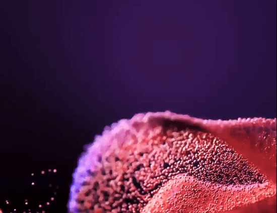 Test post with a gif featured image 2