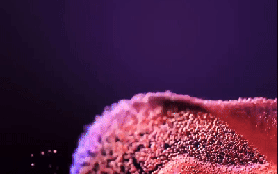 Test post with a gif featured image 2