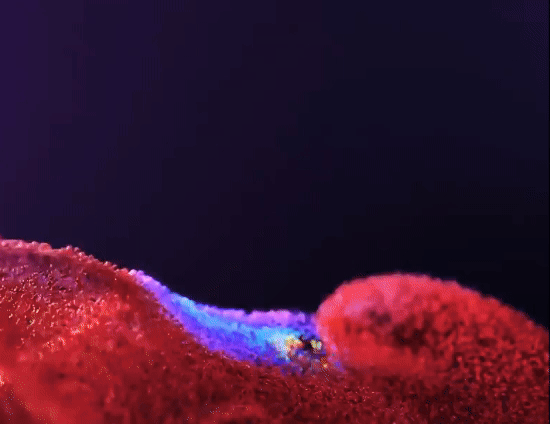 Test post with a gif featured image