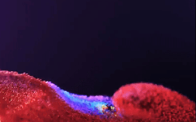 Test post with a gif featured image
